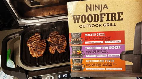 ninja woodfire grill steak